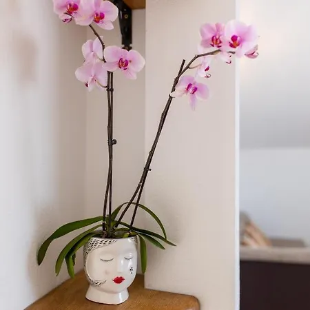 Vranjic Apartman *