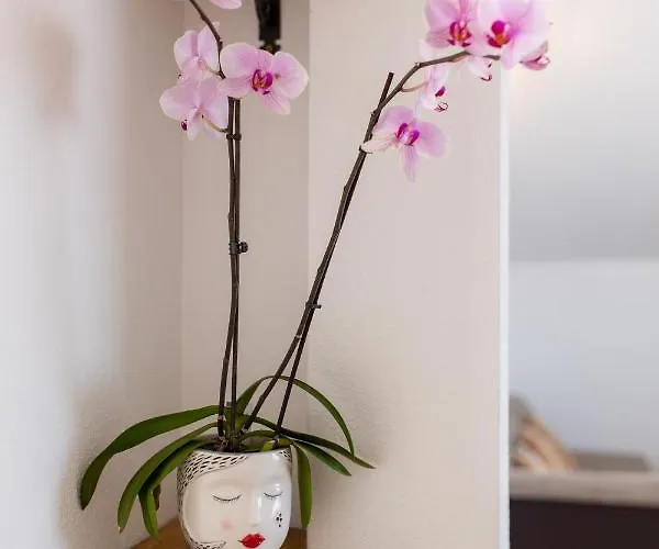 Vranjic Appartamento *